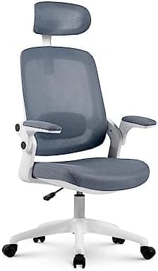 Cadeira de Escritorio Ergonômica Astra com Apoio Lombar e Cabeça, Cinza/Branca
