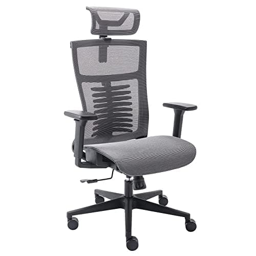 Elements Cadeira de Escritorio Ergonômica Vertta Pro com Apoio Lombar e Cabeça Respirável, Preta/Cinza